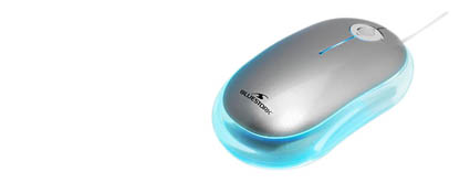 souris